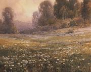 unknow artist California landscape oil on canvas